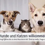 Toepferhaus - Strandnah, Haustierfreundlich, Kaminofen, Garten, Platz Fuer 3 Erwachsene, 2 Semesterbostad