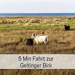 Toepferhaus - Strandnah, Haustierfreundlich, Kaminofen, Garten, Platz Fuer 3 Erwachsene, 2 * Steinberg (Schleswig-Holstein)