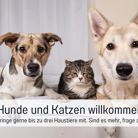 Toepferhaus - Strandnah, Haustierfreundlich, Kaminofen, Garten, Platz Fuer 3 Erwachsene, 2 בית נופש