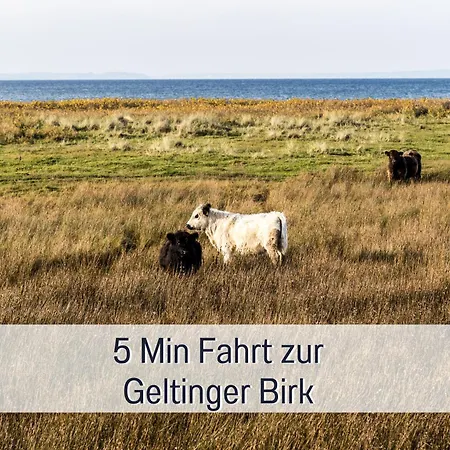 Topferhaus: Beach-close Pet-friendly Retreat With Workation Amenities * Steinberg (Schleswig-Holstein)